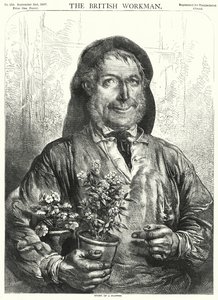 Příběh květiny (rytina) od English School
