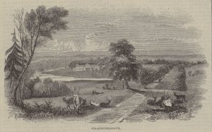 Strathfieldsaye od English School
