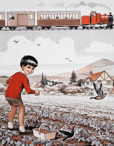 Sběr jahod od English School