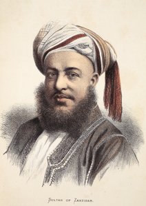 Sultán ze Zanzibaru, ilustrace z Obrazového vydání života a objevů Davida Livingstona od J. Ewinga Richieho, pub. od A. Fullarton & Co., 1876 od English School