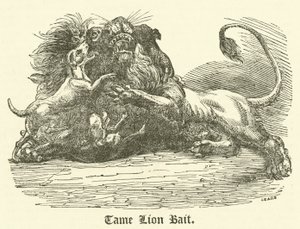 Tame Lion Bait (rytina) od English School