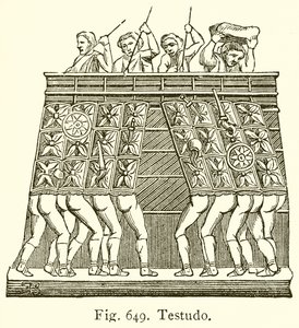 Testudo od English School