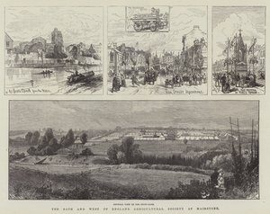 The Bath and West of England Agricultural Society v Maidstone (rytina) od English School