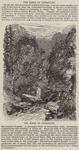 Birks of Aberfeldy (rytina) od English School