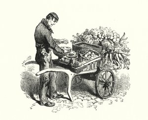 The Costermonger (rytina) od English School