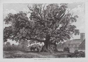 The Cowthope Oak (rytina) od English School