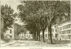 The Elms, Yale University od English School