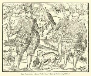Falconer od English School