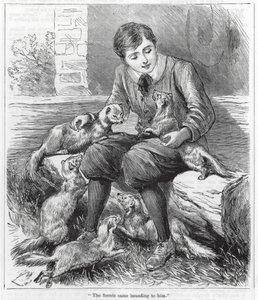 "Přiběhly k němu fretky" (rytina) od English School