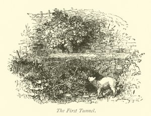 První tunel od English School