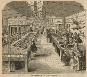 Muzeum potravin a živočišných produktů, South Kensington Museum od English School