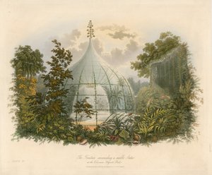 Fontána obklopující mramorovou sochu v Koloseu, Regents Park od English School