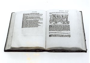Liška a hrozny, z ilustrovaného překladu Ezopových bajek od Williama Caxtona (c.1422-91) 1434 od English School