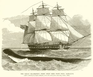 Velký mořský had při prvním pohledu z H.M.S. Daedalus od English School