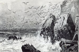 Haunt of the Gulls, z „Hodiny volného času“, 1888 od English School
