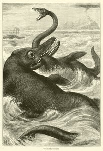 Ichtyosaurus (rytina) od English School