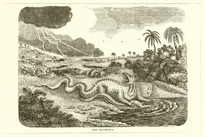 Iguanodon od English School
