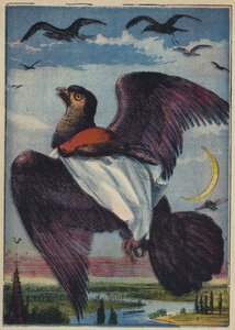 Drak a kohout Robin (barevná litografie) od English School