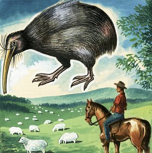 Kiwi, znak Nového Zélandu od English School