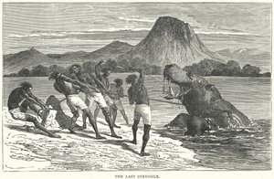 Poslední boj (rytina) od English School