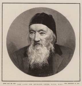 Zesnulý Sir Richard Owen, KCB, FRS (rytina) od English School