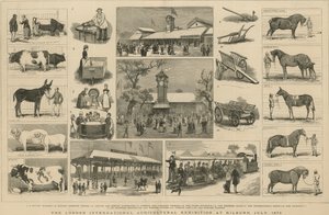 Londýnská mezinárodní zemědělská výstava v Kilburn, červenec 1879