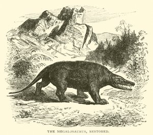 Megalosaurus, restaurovaný (rytina) od English School
