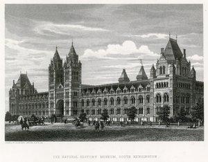 Přírodovědné muzeum, 1881 od English School