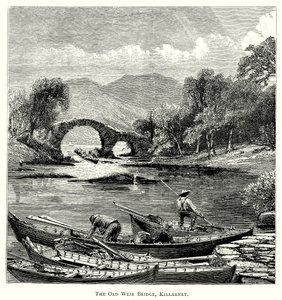 Most Old Weir Bridge, Killarney (rytina) od English School