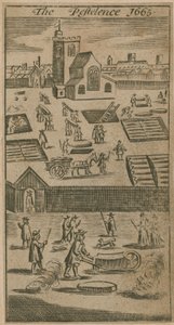 The Petelence 1665 od English School