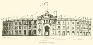Býčí aréna od English School