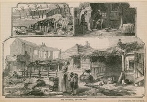 The Potteries, Notting Hill od English School