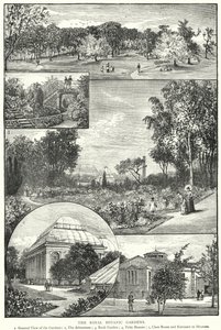 Královské botanické zahrady (rytina) od English School