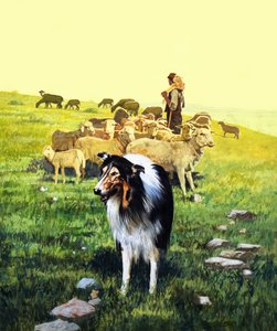 Ovčácký pes, ilustrace z filmu "Bylo nebylo od English School