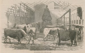 Smithfield Club Cattle Show Yard od English School