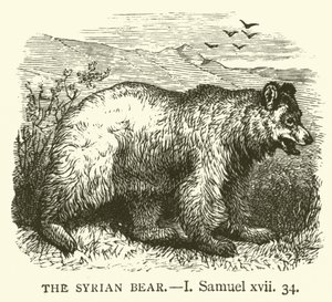 The Syrian Bear, I, Samuel, xvii, 34 (rytina) od English School