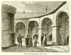 Tower Menagerie kolem roku 1820 od English School