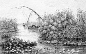 The Vessels in the Grass-Barrier, z „Srdce Afriky, tříleté cesty a dobrodružství v neprobádaných oblastech střední Afriky, od roku 1868 do roku 1871“, Georg August Schweinfurth od English School