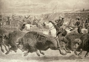 „Divoký západ“ na Velké americké výstavě: Lov bizonů a jelenů Wapiti, z „The Illustrated London News“, 18. června 1887 od English School
