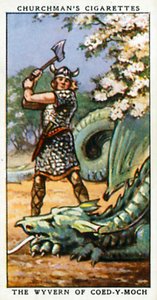 Wyverna z Coed-Y-Moch (barevná litografie) od English School