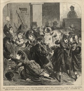 Výstava dobytka v Islingtonu