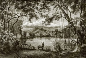Kouzelné jezero na filipínském ostrově od English School