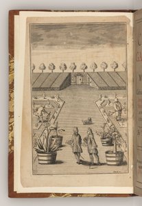Frontispis knihy The City Gardener od Thomase Fairchilda od English School