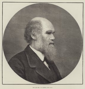 Zesnulý pan CR Darwin, FRS, LLD od English School