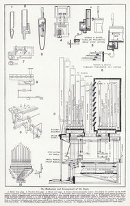 Mechanismus a uspořádání varhan (litho) od English School