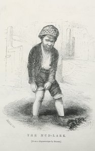 Skřivan bahenní od English School