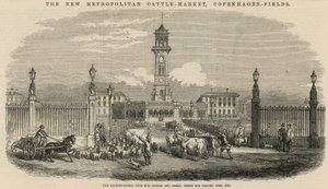 Nový metropolitní dobytčí trh, Copenhagen Fields