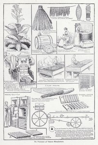 Proces výroby tabáku (litho) od English School
