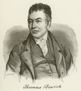 Thomas Bewick (rytina) od English School