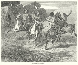 Dreschen von Mais (Gravur)